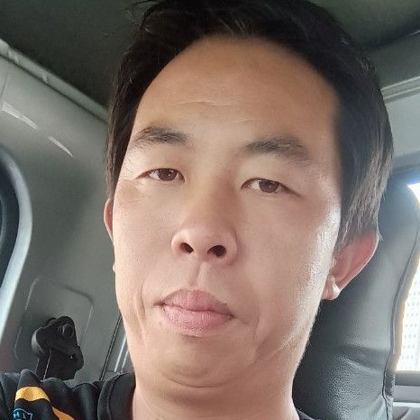 欣喜打蝶舞的照片