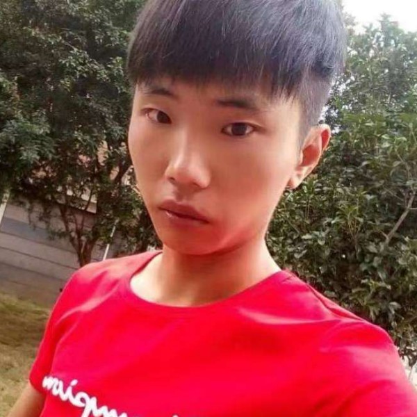 彩色等于灰狼的照片