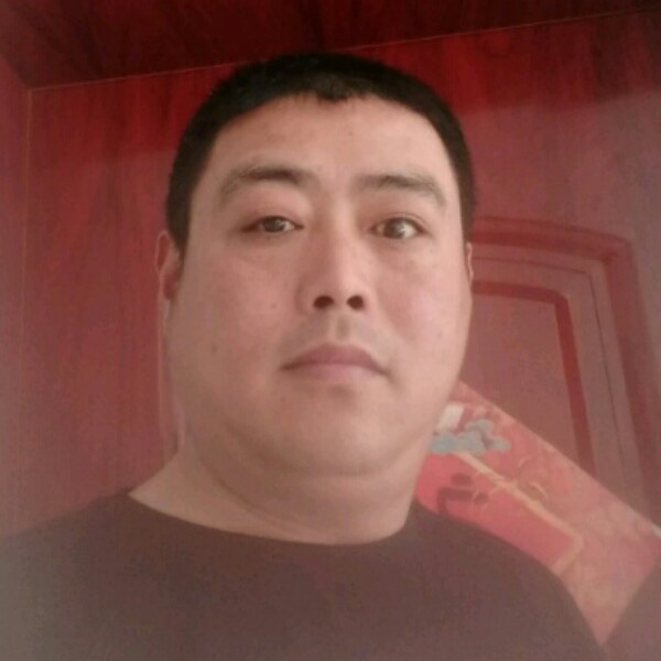 灰狼用自然的照片
