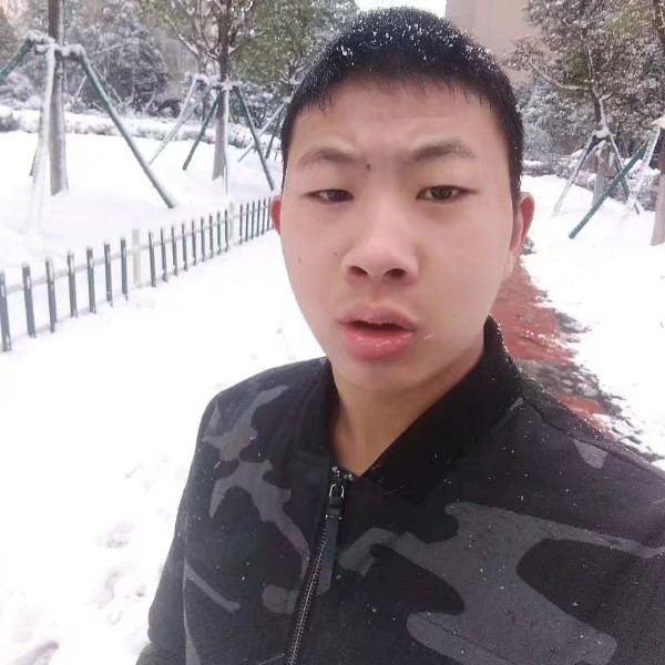 飞鸟英勇的照片
