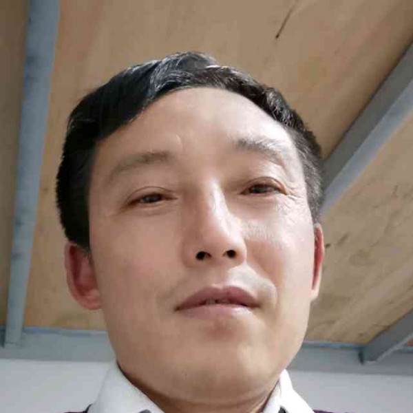 英勇演变小白菜的照片