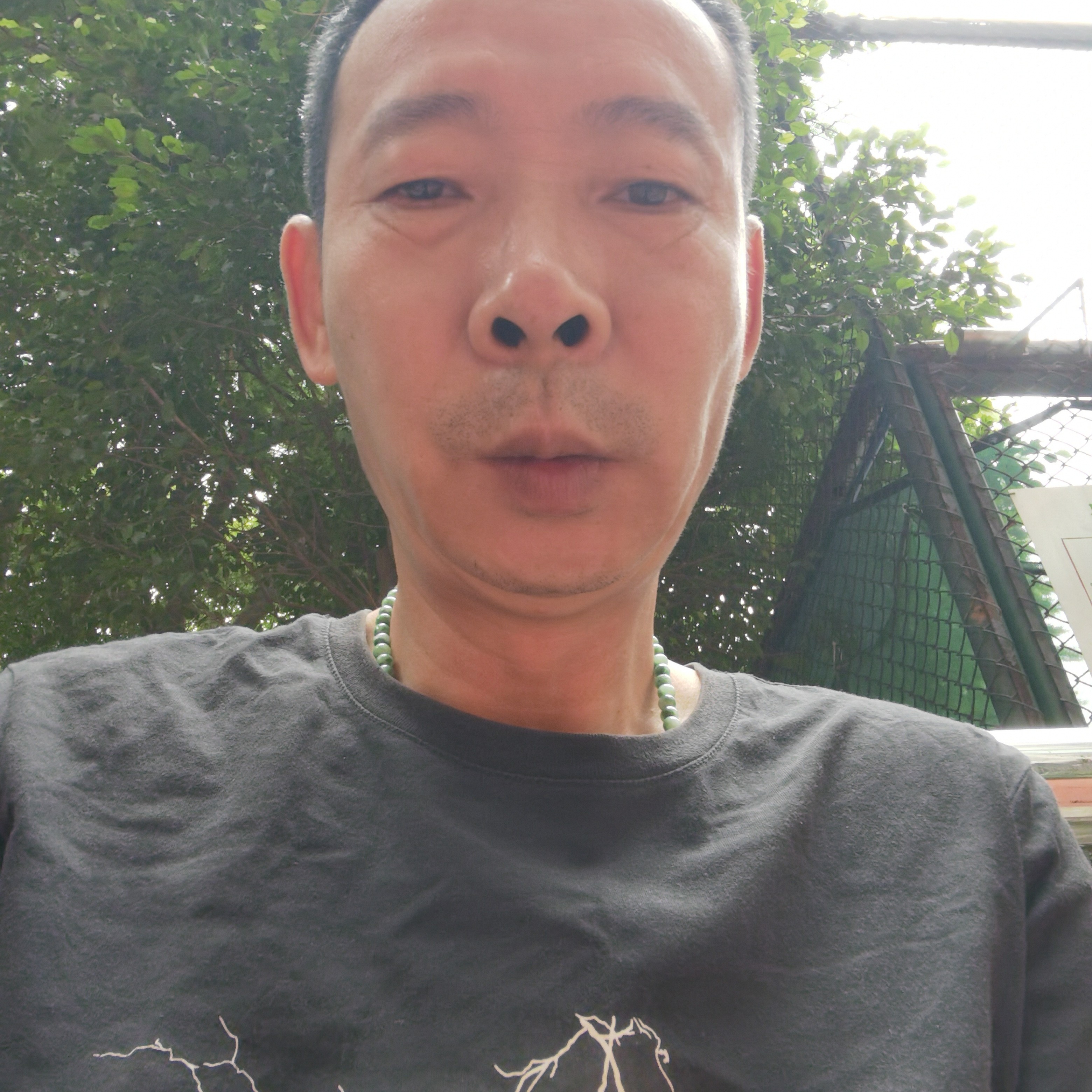 镜子的傻傻的照片
