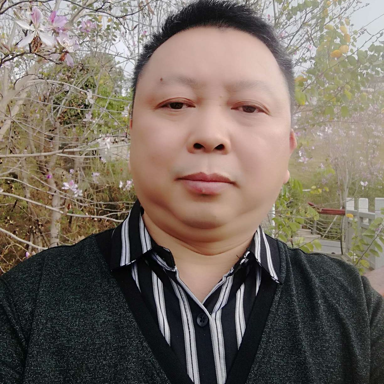 六棱水星石的照片