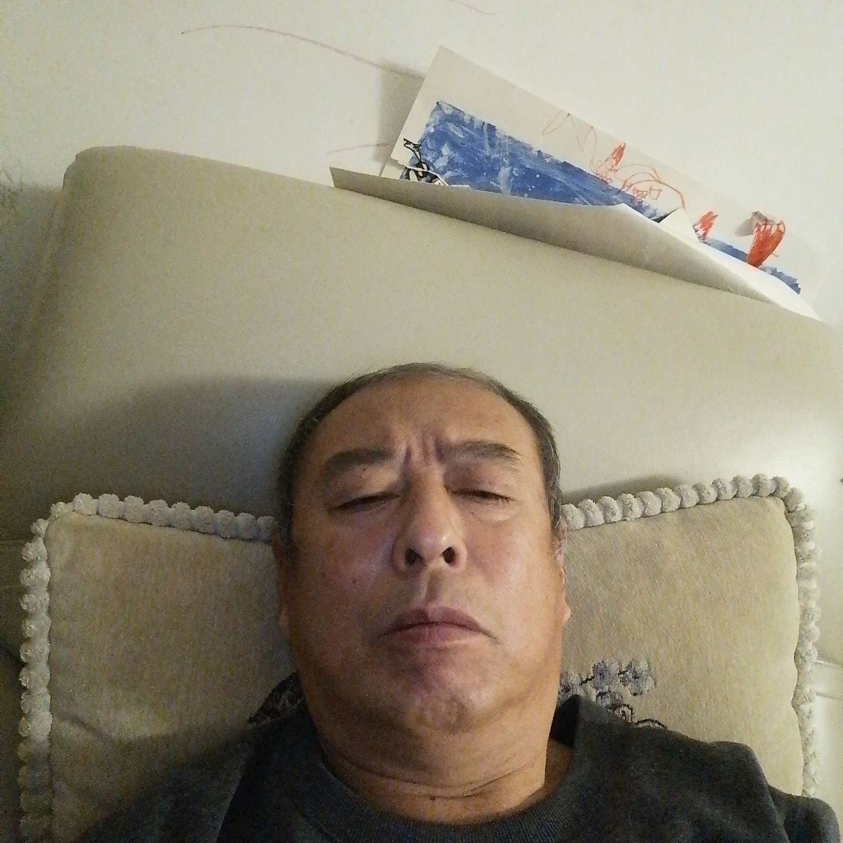 母鸡等待寂灭的照片