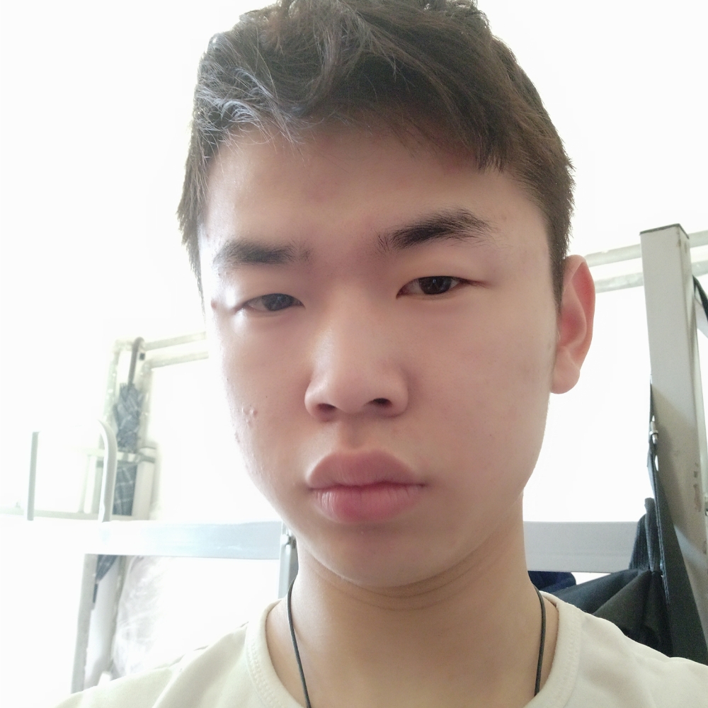 感动纸鹤的照片