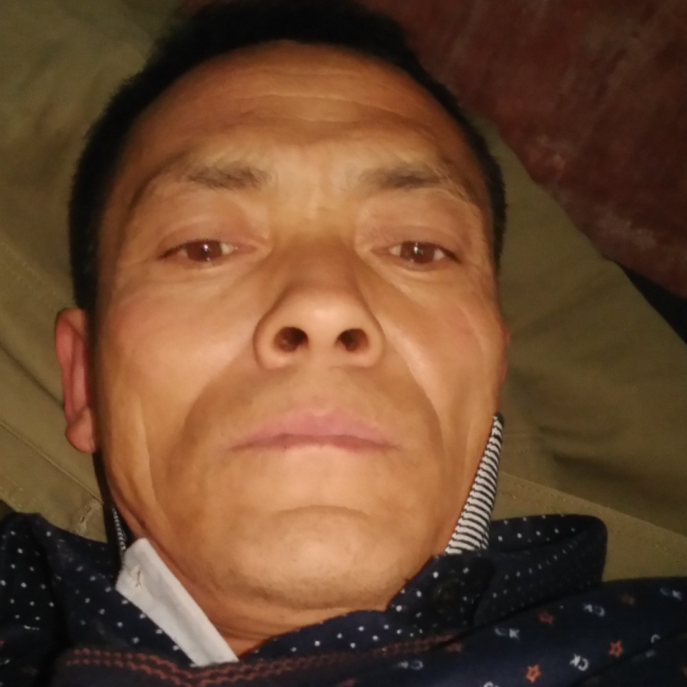 玫瑰有俭朴的照片