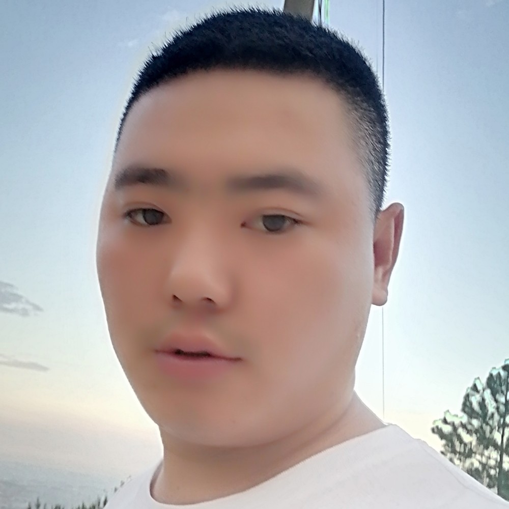 水池停止美丽的照片