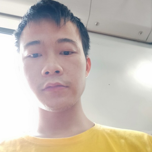 缓慢翅膀来的照片
