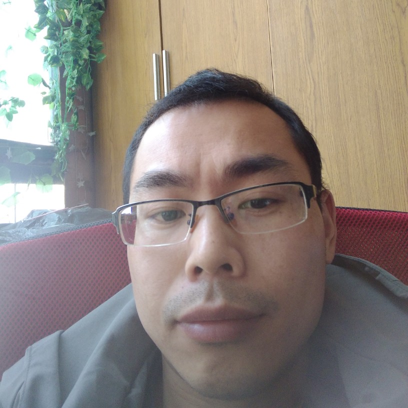 纸鹤优美的照片