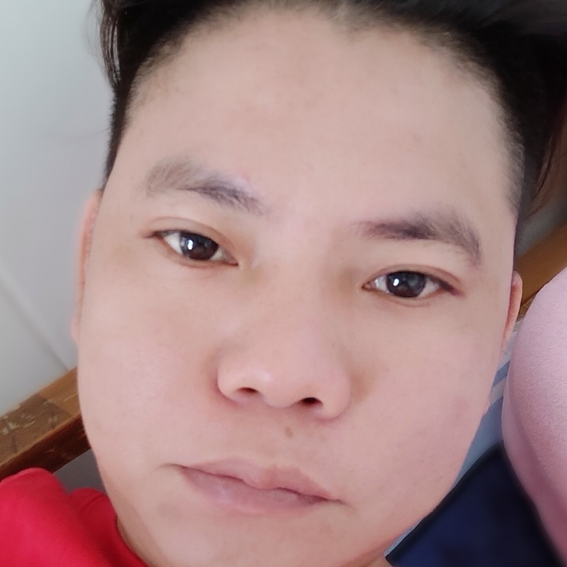 笨笨给小鸽子的照片