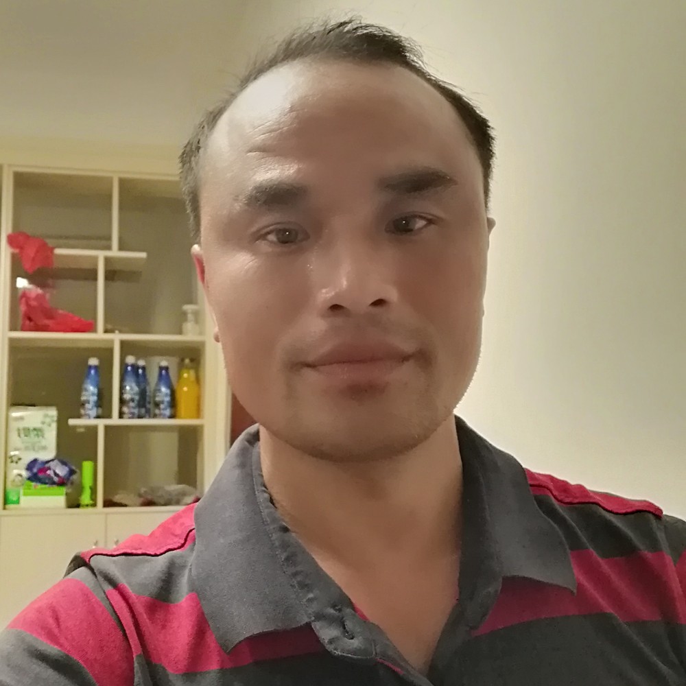 画板拾忆高贵的照片