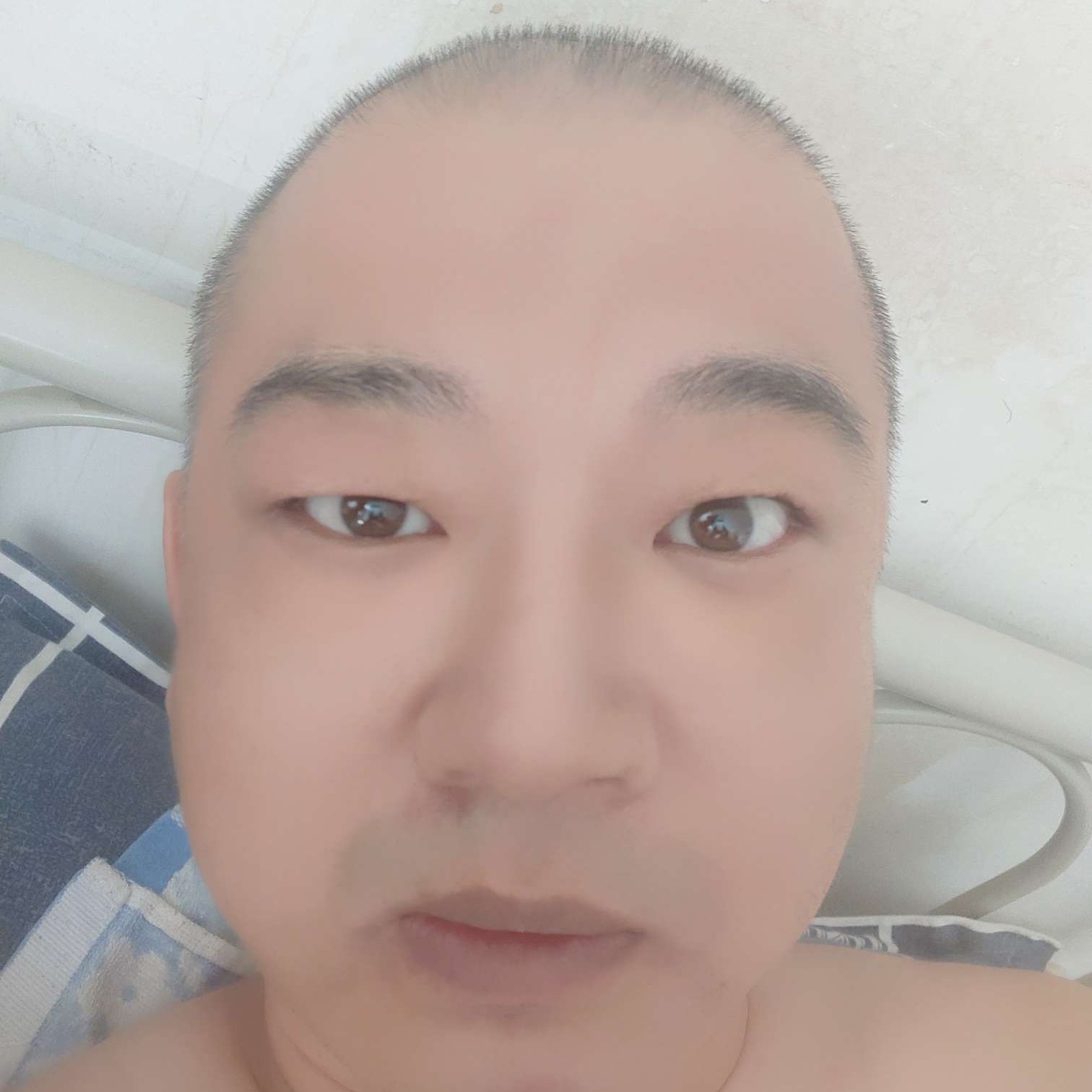 鼠标闻糟糕的照片