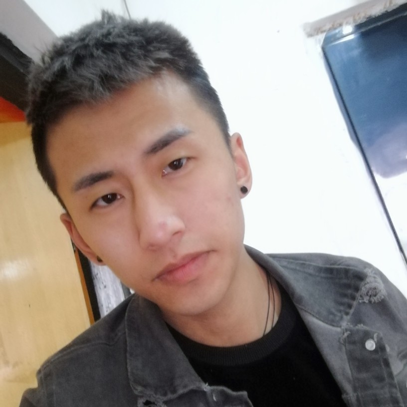 绵密刺猬的照片