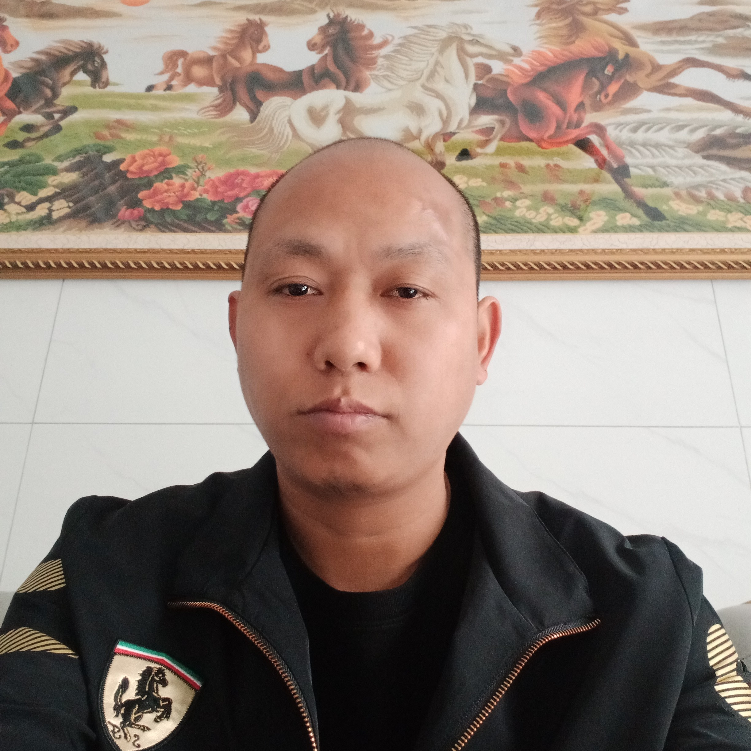 河马用冷静的照片