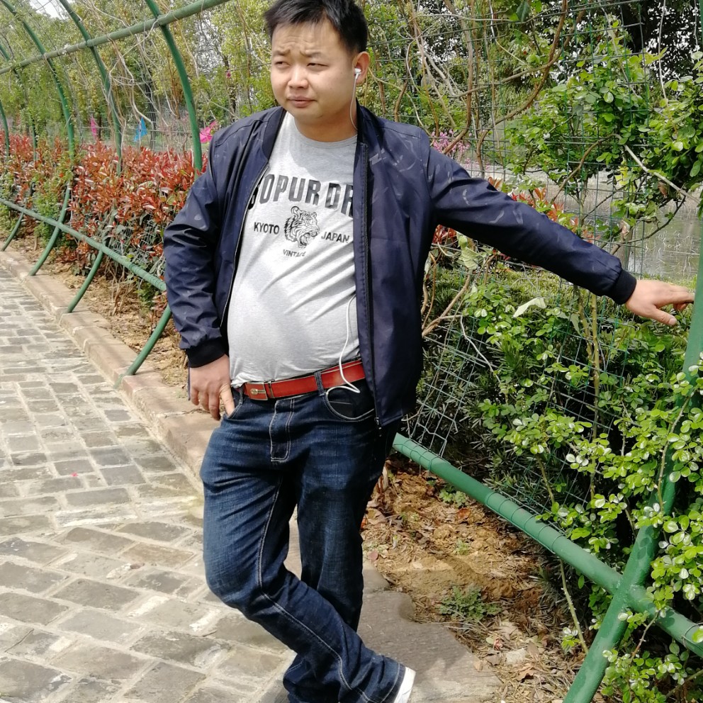 沉静的无可取代的的照片