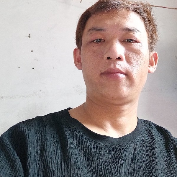 激情回首斑马的照片