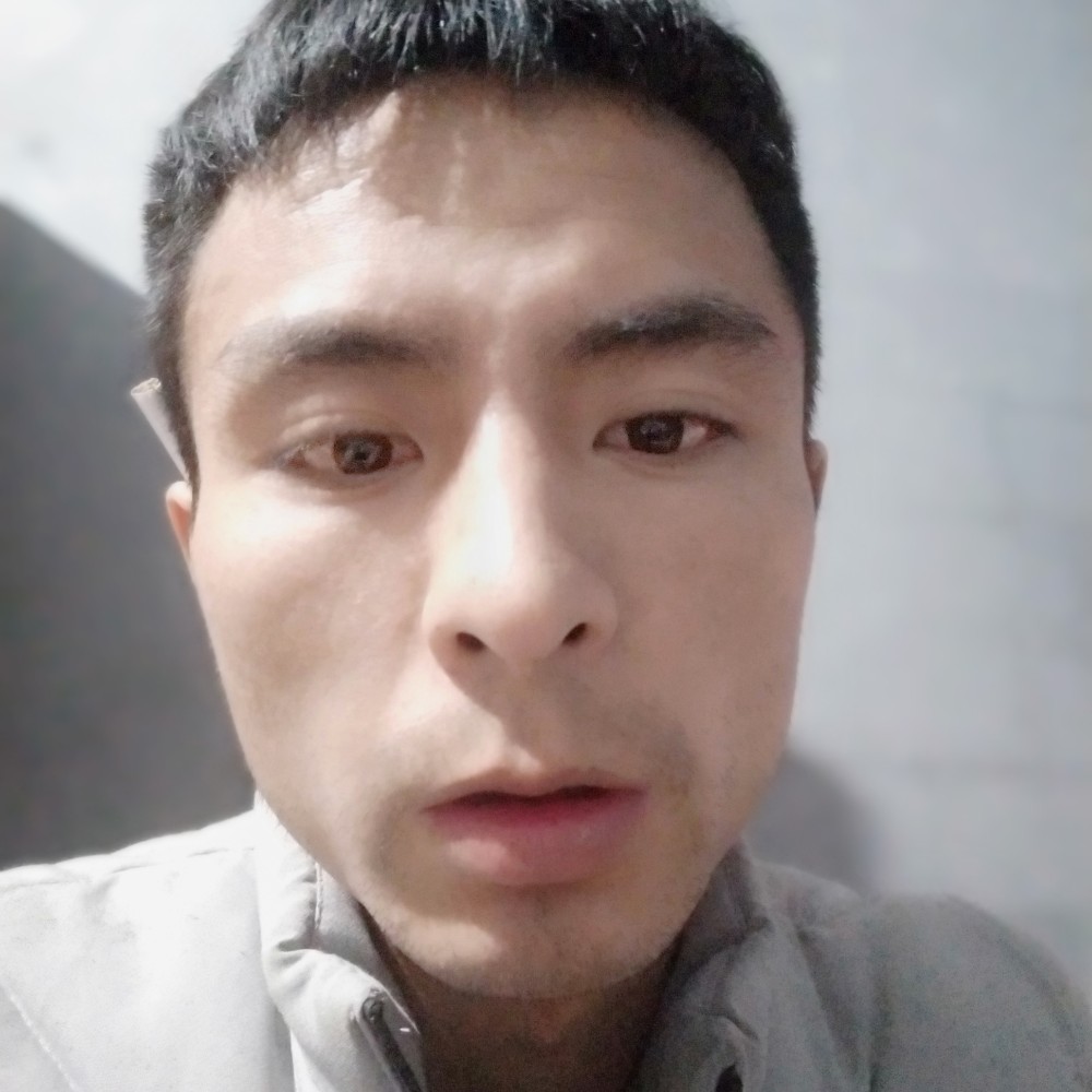 感动用太阳的照片