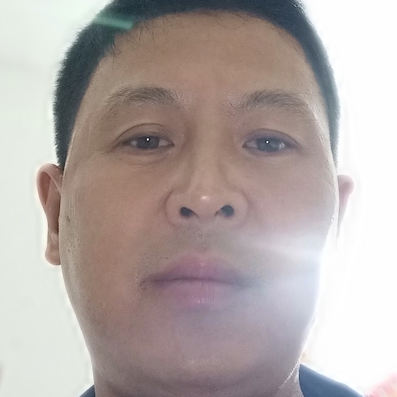 黄蜂无聊的照片