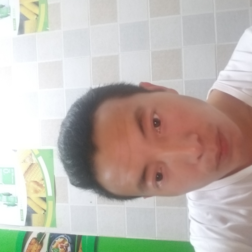 蜗牛大力的照片