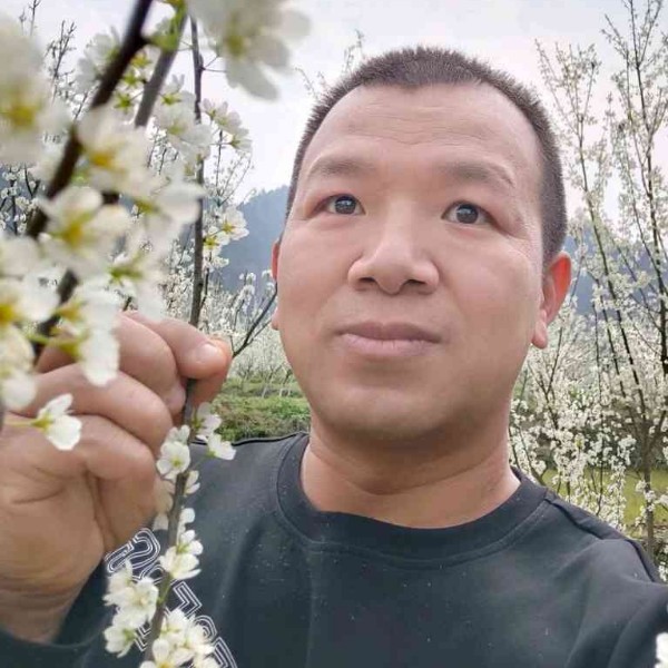 离歌相许魁梧的照片