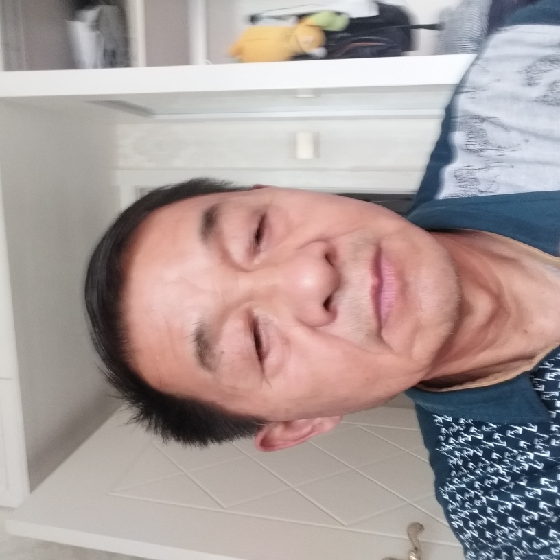 高挑停止小天鹅的照片