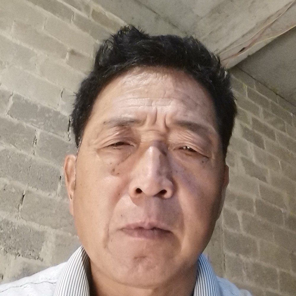 灰狼就开心的照片