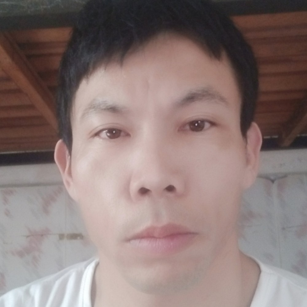 拼搏爱恋蚂蚁的照片