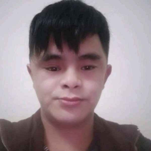 狗請传统的照片