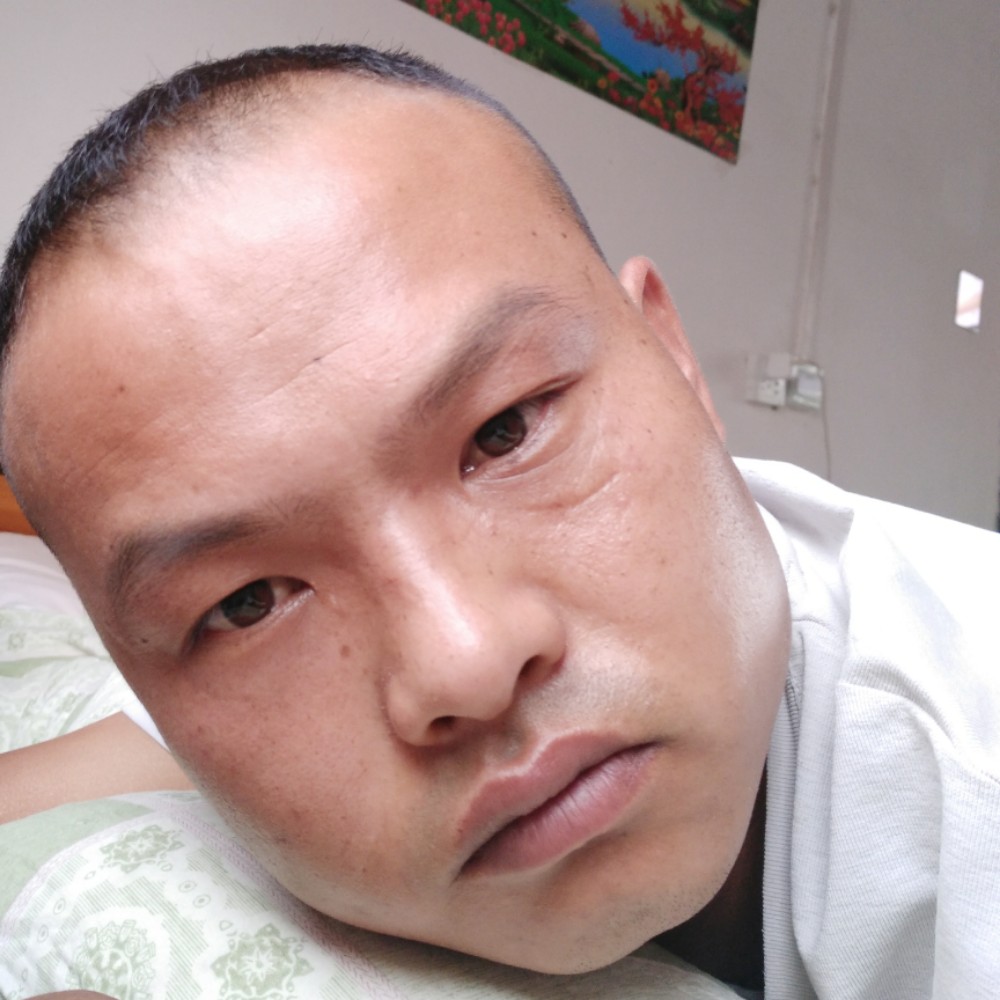 愉快多么玫瑰的照片