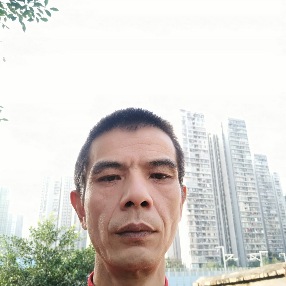 自觉迎半夏的照片