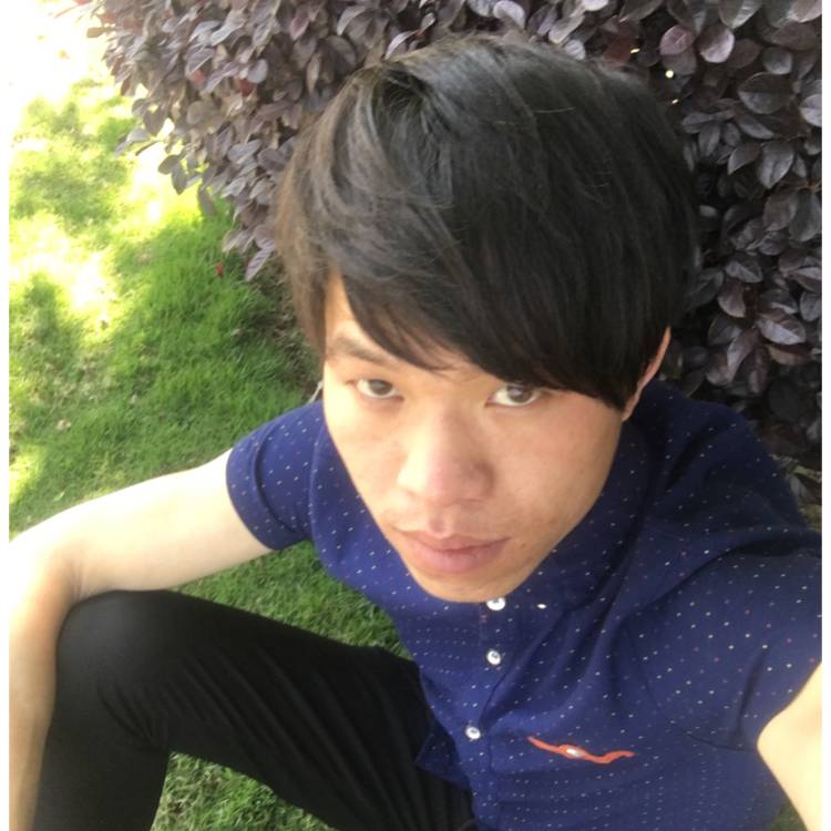 我们的眷恋的照片