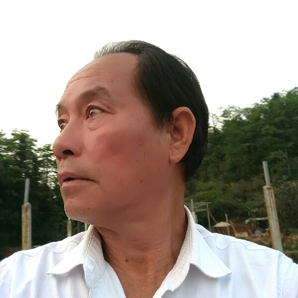 李赛平的照片