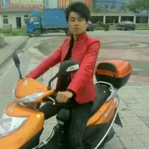 怕孤单黑猫的照片