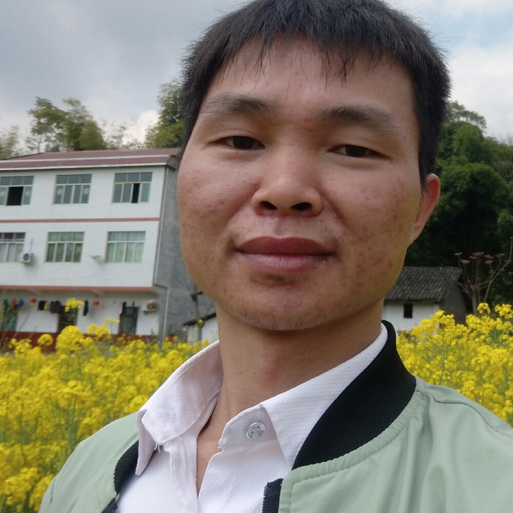 斑马漫步矫情的照片