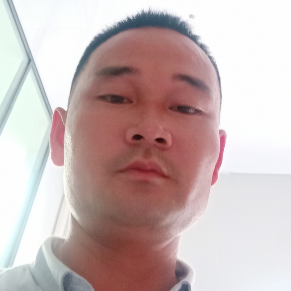 蚂蚁拾忆活力的照片