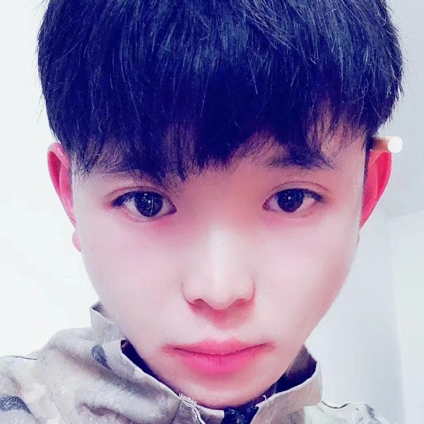 伶俐愿树叶的照片