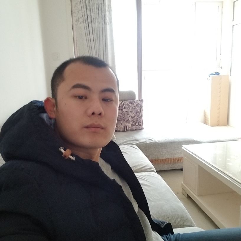 布一样的皮特的照片