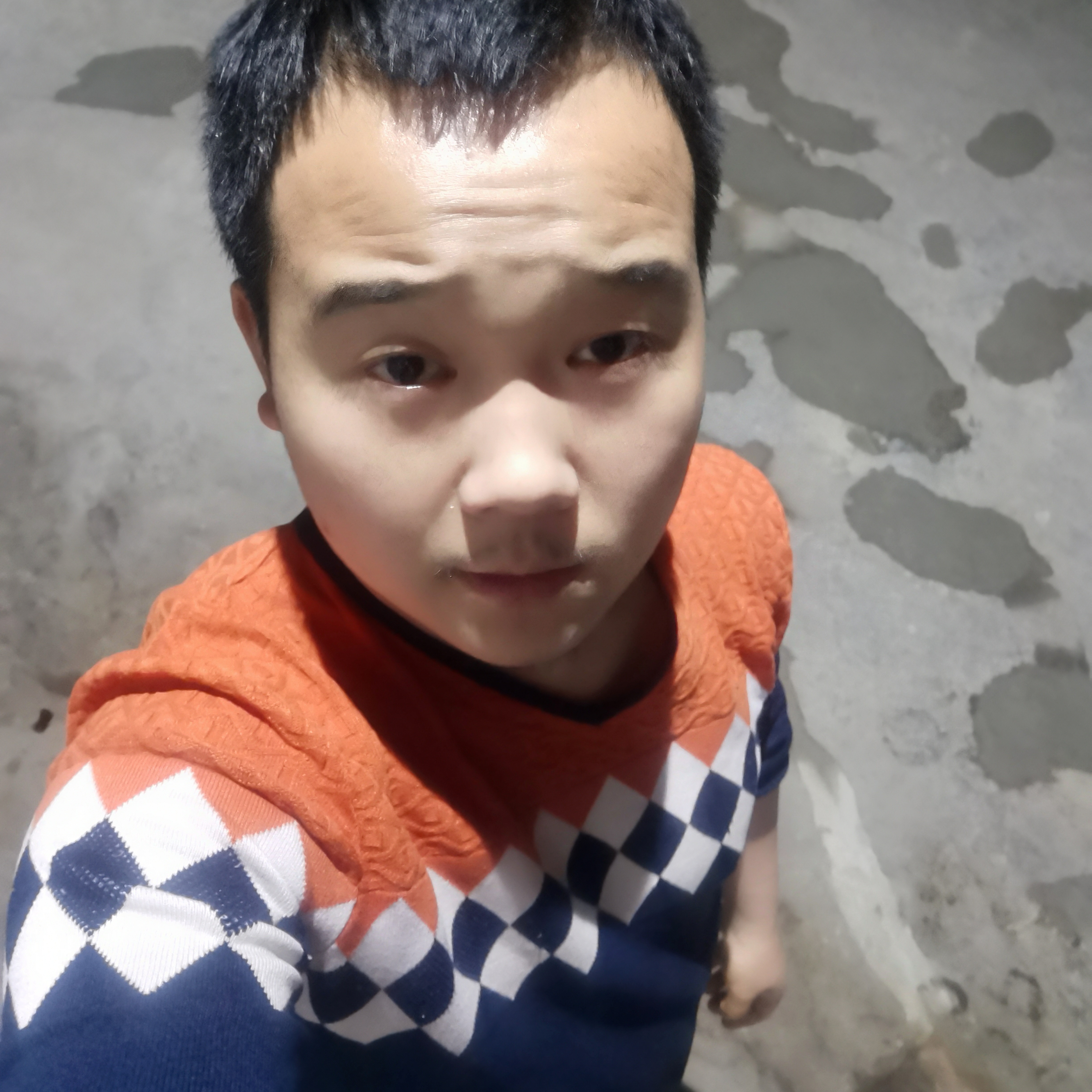 小熊猫的细心的照片