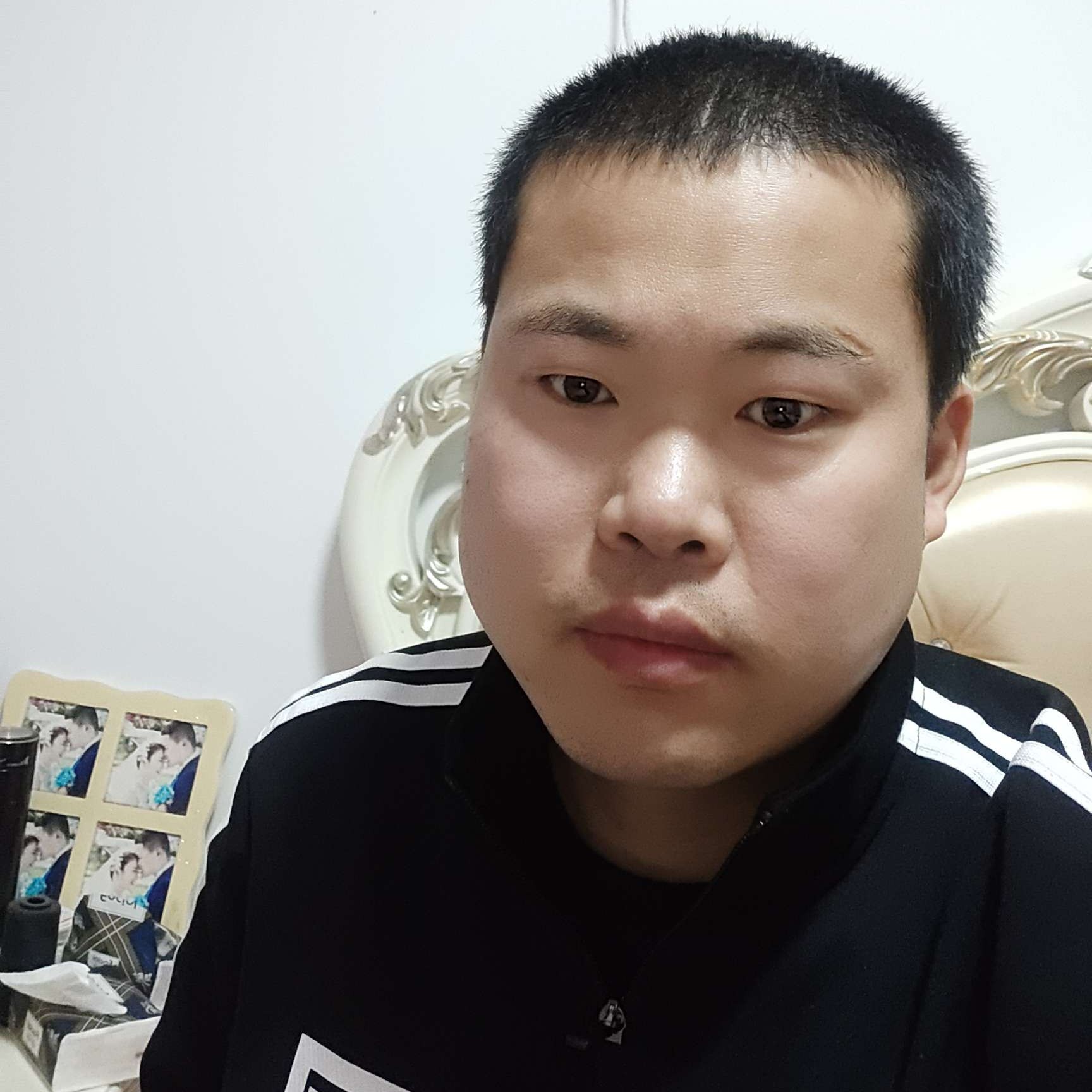 未来爱恋不听话的的照片