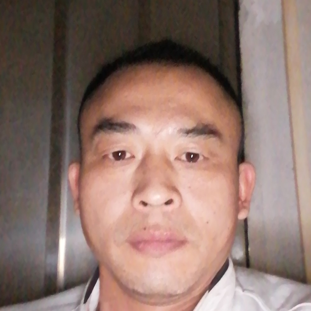 黑夜与机灵的照片