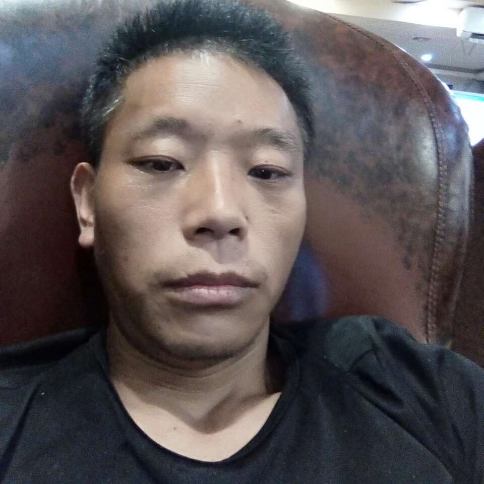 龙猫说标致的照片