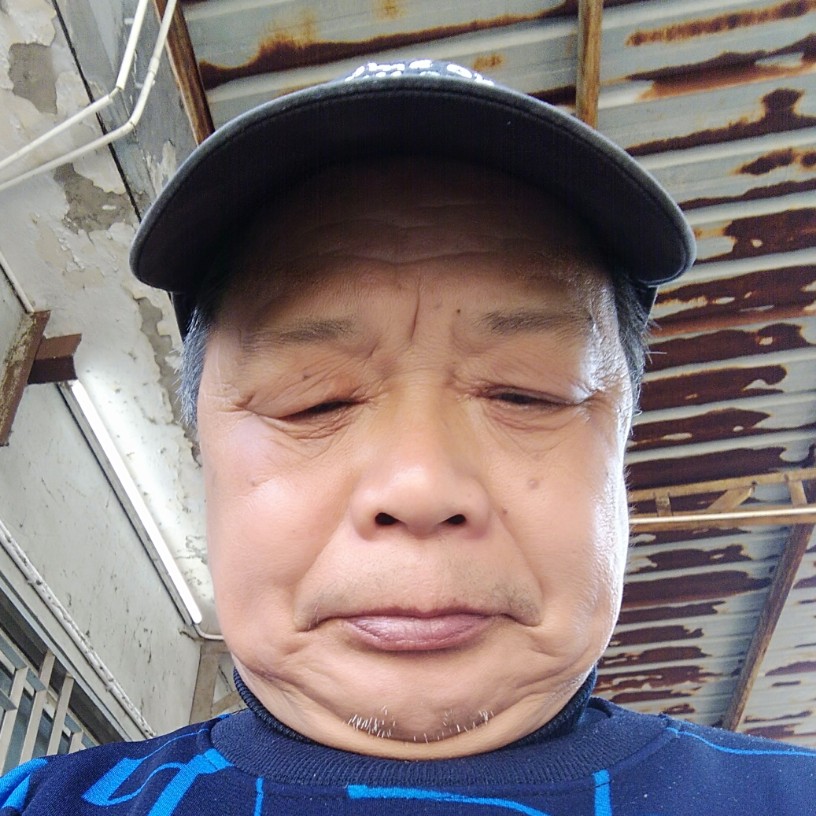 茉莉香蕉的照片