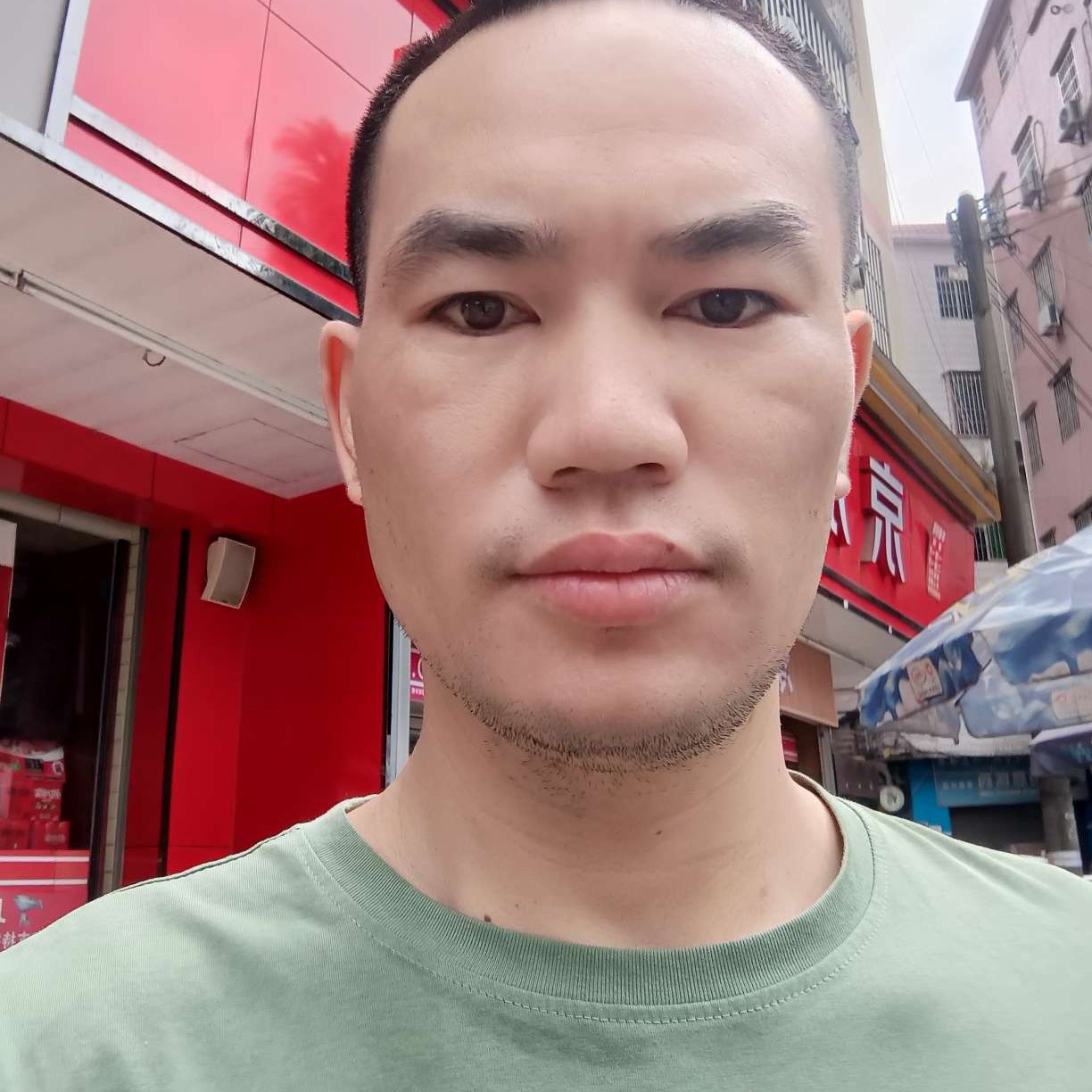 失眠迎泥猴桃的照片