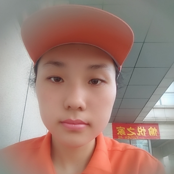 追寻太阳的照片