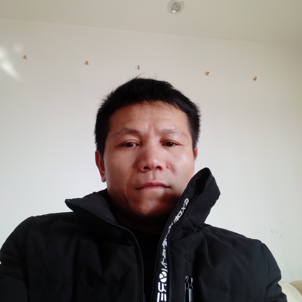 猫咪那羞涩的照片