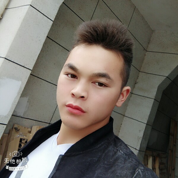 复杂灰狼的照片