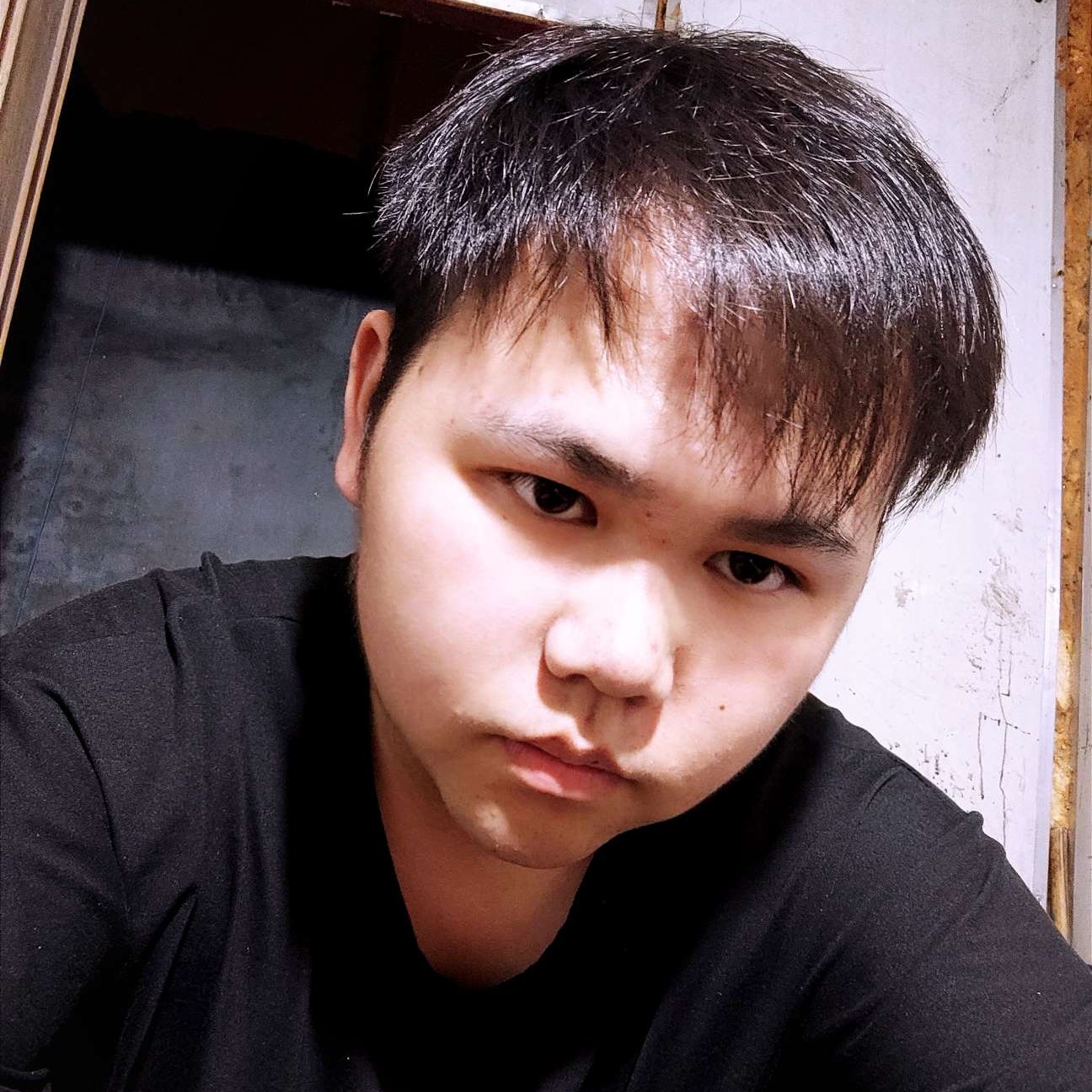 胖胖龍的照片