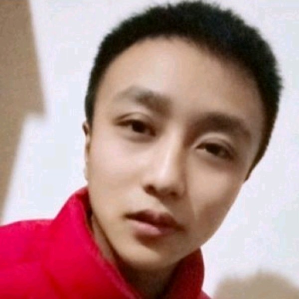 直率小天鹅的照片