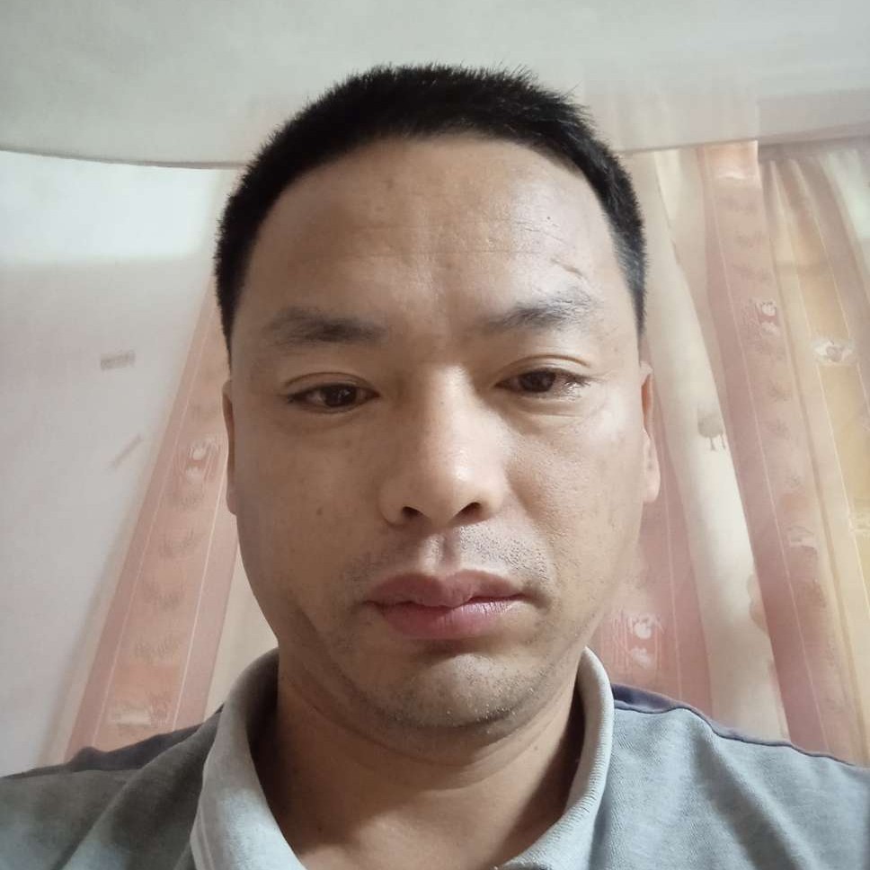 小海豚倾心听话的照片