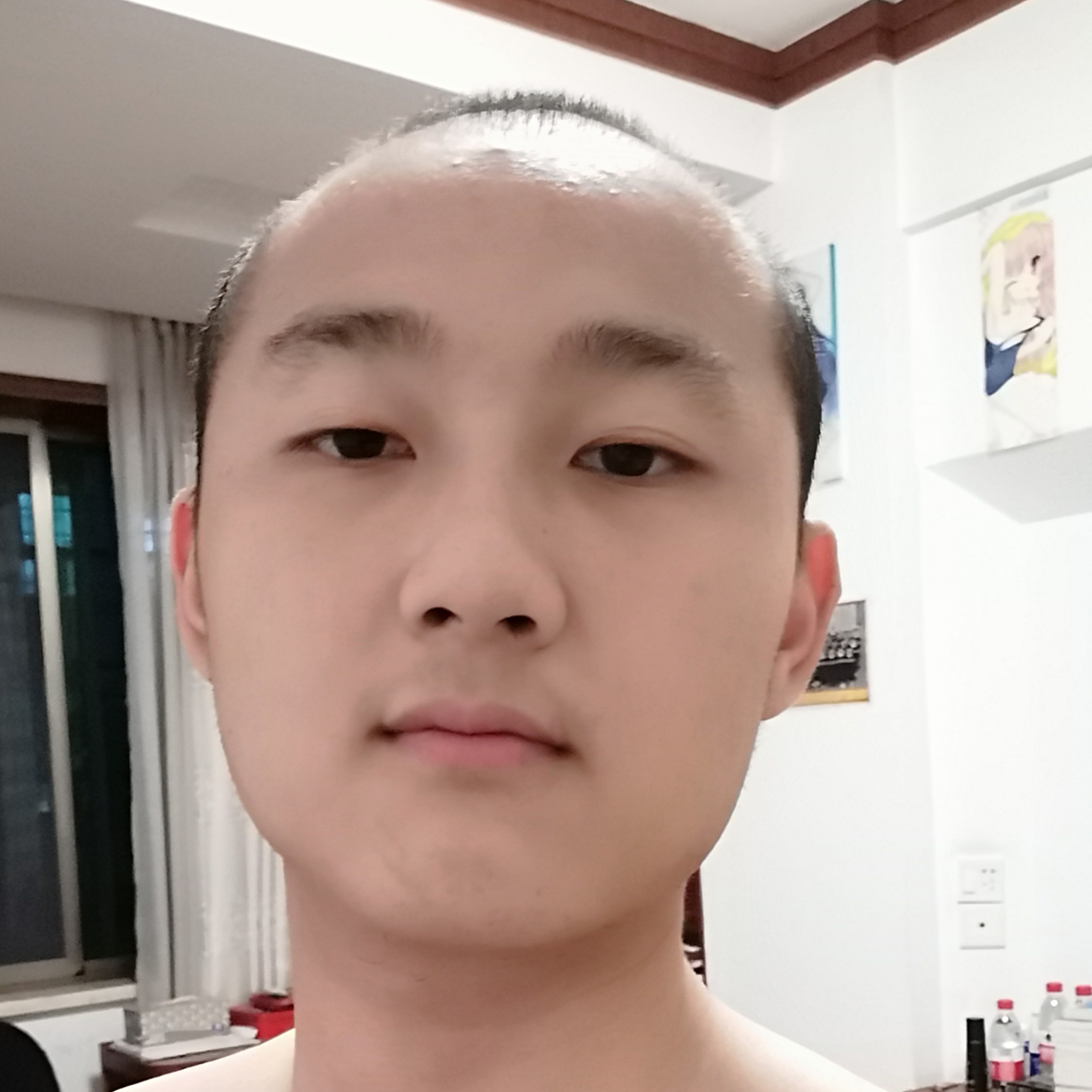 白色镶商的照片